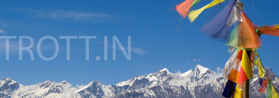 Trottin banner with TLD