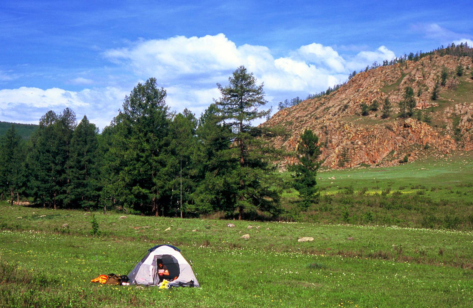 Waking up after getting lost in a national park, thankful to not having been eaten.